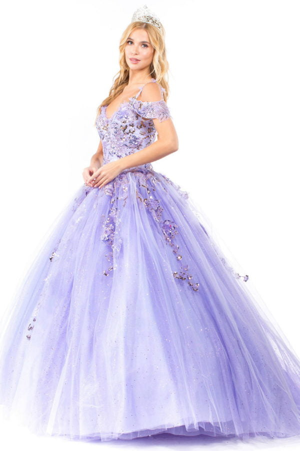 Quinceanera dresses