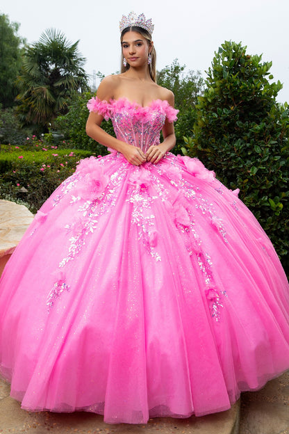 Quinceanera dresses