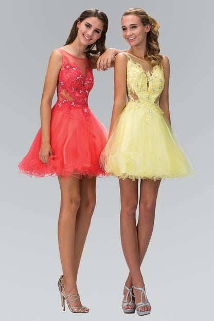 Dama dresses